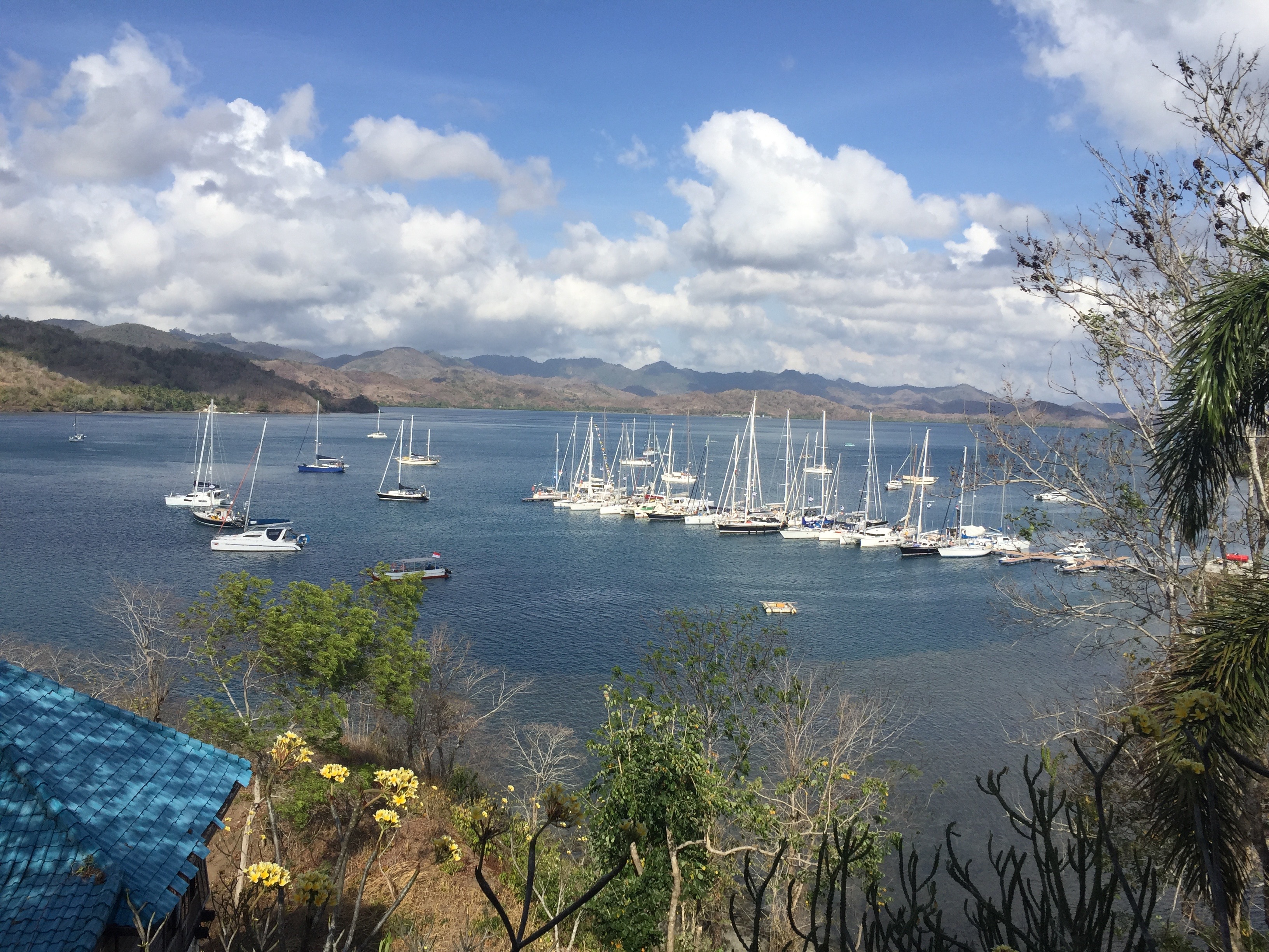 flgili13
